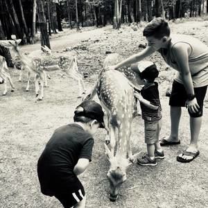 Meet your Posher, Julie